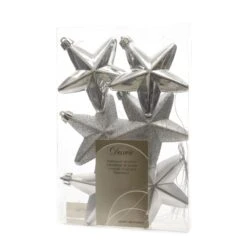 Addobbo Natalizio Set 6 Stelle Color Argento
