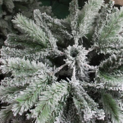 Albero Di Natale Grandis Fir Innevato 300cm