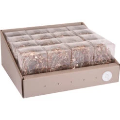 Luci Di Natale 40 MicroLed Con Filo In Metallo