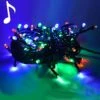 Luci Di Natale 100 LED Multicolore Con Musica