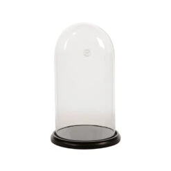 Campana Vetro Con Base Legno 45cm