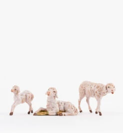 Famiglia Pecore Per Presepe 12cm