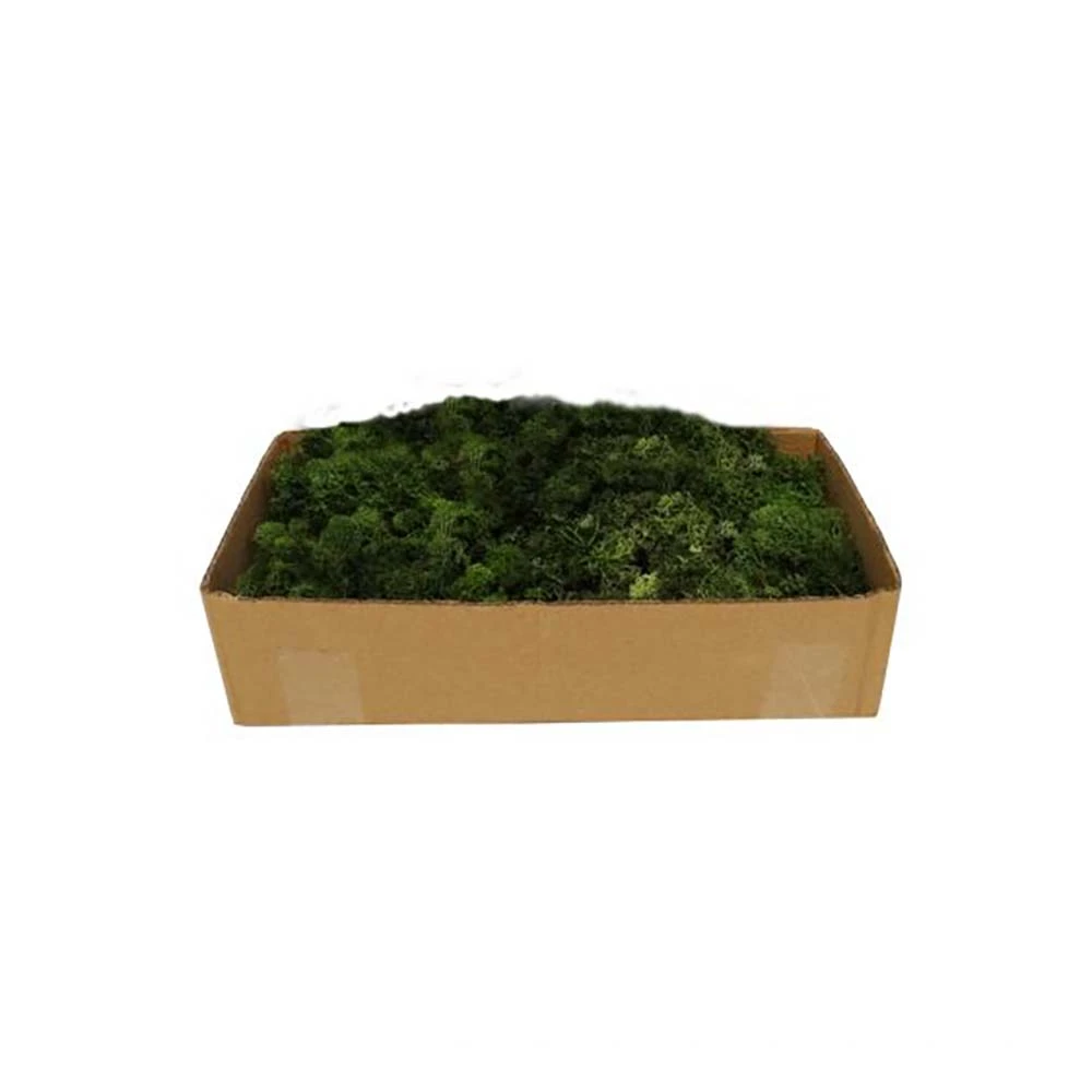 My Village Muschio Lichene Verde Per Villaggio Natalizio E Presepe 500g
