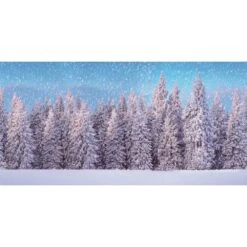 My Village Poster Foresta Invernale Per Villaggio Natalizio E Presepe 300x150cm