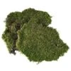 Muschio Soffice Per Presepi E Villaggi Natalizi 60gr